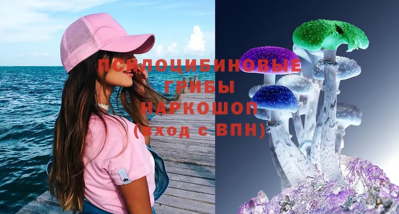 Псилоцибиновые грибы MAGIC MUSHROOMS  Беломорск 